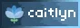https://caitlyn.moe